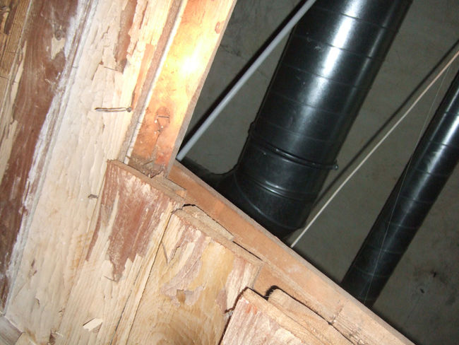 Problemlösung für Bauschafden. Schadhafte Holztramdecke